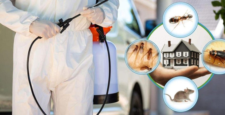 Hilvan Böcek İlaçlama