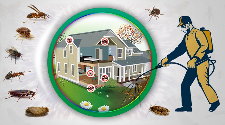 Hilvan Böcek İlaçlama