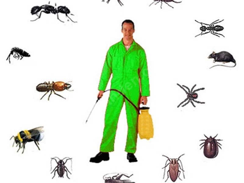 Hilvan Böcek İlaçlama